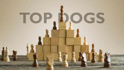 Top Dogs